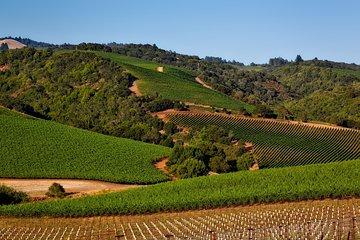 Napa Valley Wine Tasting Tour 6 to 8 Hours max 14 passenger