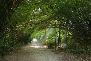 Full-Day Guided Commewijne Plantation Tour by Car