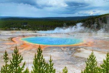 Exclusive Private Yellowstone Adventure: Explore The Lower Loop
