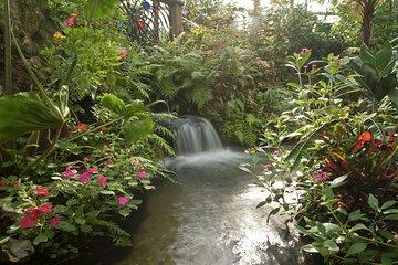 Butterfly Rainforest at Florida Museum of Natural History Ticket