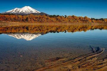 Full Day Tour to Conguillio National Park from Pucon