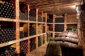 Private Gourmet Tour with Wine and Food Tasting from Limassol
