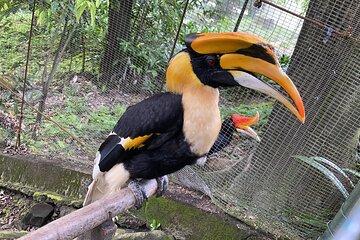 Garden & Park Half Day Tour (SIC Tour – Shared/Join In Tour)