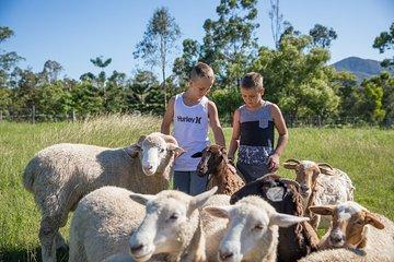 Trevena Glen 1hr Animal Tour