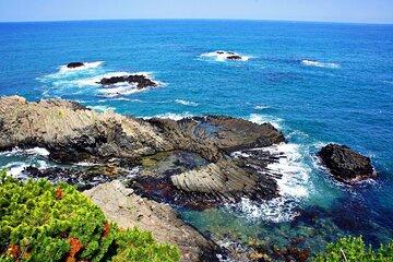 the eastern coast of Gyeongju Private tour with Columnar Joints Padosori