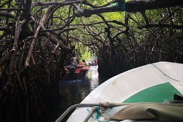 Bentota City Tour from Unawatuna