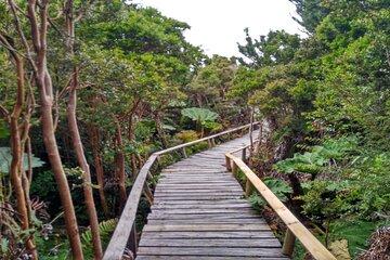 Chiloe National Park and Chonchi "Darwin Route"