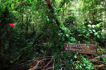Chiloe National Park and Chonchi "Darwin Route"