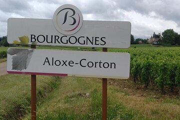 Custom Planned Burgundy Vineyard Tour with Private Driver