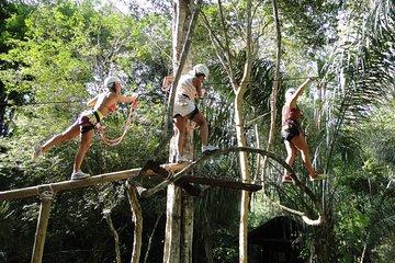 Tree Climbing In Bonito