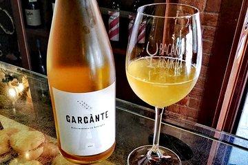 Natural wine tasting with a Bacaro owner in Venice