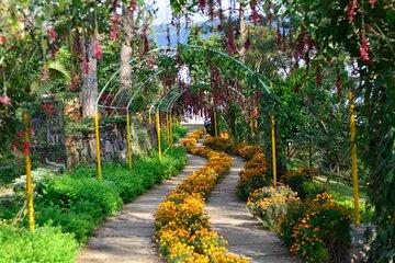 Day Trip to Mawlynnong (Guided Private Sightseeing Experience from Shillong)