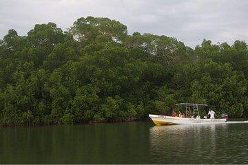 Laguna de la garza de Tigre (Chacahua) from Puerto Escondido