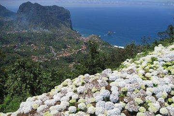 Referta / Castelejo 2-Hour Hike in the North Coast of Madeira