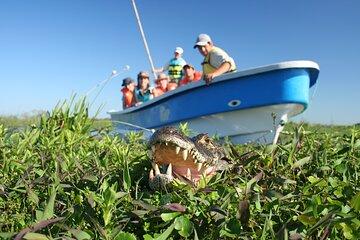 5-Day Ibera Marshlands & Iguazu Falls Tour