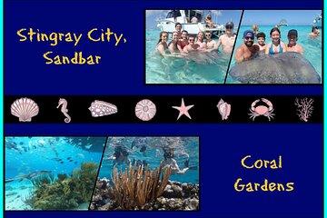 Stingray City Sandbar/Double Snorkel Adventure