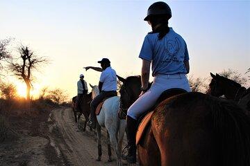Aravali Trail Experience( Jungle Safari Forest area)- Horseback Riding