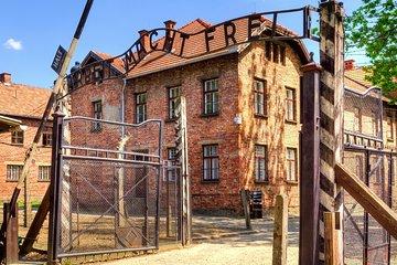 From Krakow: Live Guided Tour Auschwitz-Birkenau