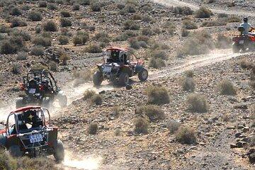 Buggy Safari In Costa Calma