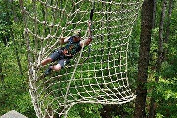 Morning Aerial Adventure Adult Course from Riegelwood