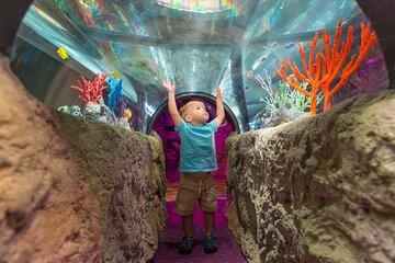 Sea Life Charlotte Concord Aquarium Admission Ticket