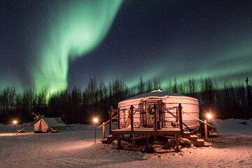 Alaskan Escape: Aurora Viewing & Dog Sledding Adventure Fairbanks