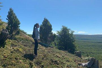 Magallanes National Reserve and Punta Arenas City Tour