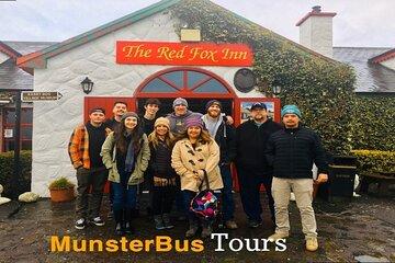 Ring of Kerry private Tour from Killarney, Car or minibus