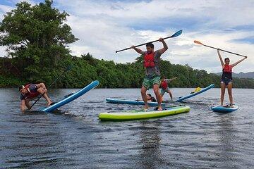 1.5 - 2 hour afternoon SUP class for all ages and levels