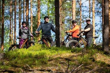 E-Fatbike Safari in Saimaa Geopark Scenery in Savitaipale