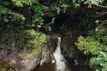 Full-Circle "Reverse" - Luxury Road to Hana Tour from South Maui