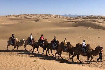 Private Day Tour to Kubuqi Desert from Hohhot with Pick Up