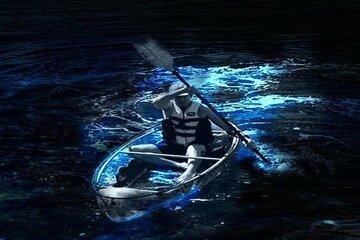 Cocoa Beach Clear Kayaking Bioluminescent Night Tour