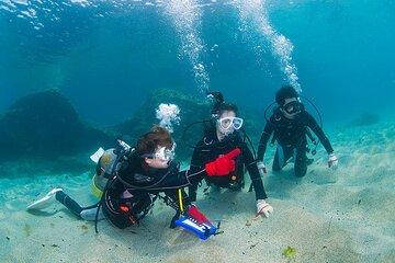 Discover Scuba Diving in Yakushima! - Standard Course / 1 Dive