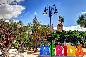 Private Transfer From Uxmal to Merida, English Speaking Driver
