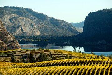 Okanagan Falls Wine Experience from Vernon - 4 Wineries