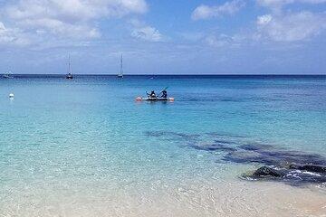 Folkestone Coral Reef Clear Kayak Tour