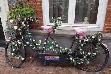 Amsterdam Private Half-day Countryside Bike Tour