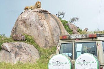 5 Day Northern Serengeti Great Migration Crossing Mara River