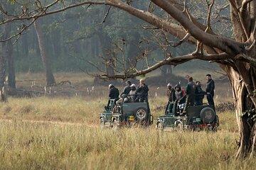 Wildlife Safari in Bandhavgarh, Kanha & Pench National Parks