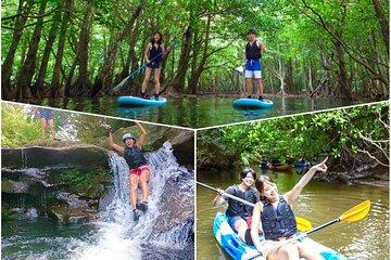 Okinawa Iriomote Mangrove SUP or Canoe Tour and Splash Canyoning