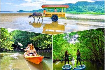 Okinawa Iriomote SUP or Canoe and Sightseeing in Yubujima island