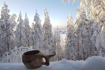 Winter Forest Ride with Snow Sledge in Finland
