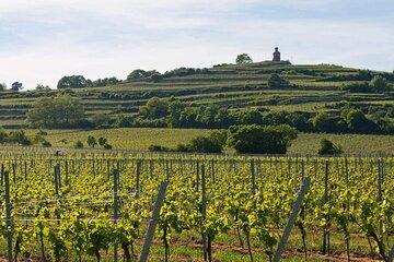 Rhein Castles & Tasting wine along the Rhein - From Frankfurt