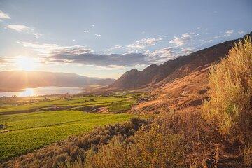 Osoyoos Half Day Wine Tour (Incl. Tasting Fees & Guide Gratuity!)