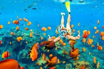 Semi-Submarine Underwater Adventure Tour from Hurghada