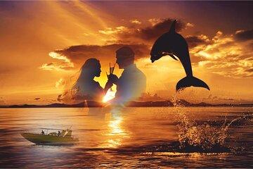 Sunset Dolphin Watching Trip on board the Biosfera Jet
