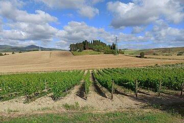"Ramble Through The Rolling Hills Of Chianti" with lunch and 2 wine tastings