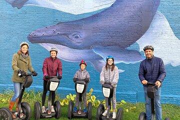 Sheboygan Arts & Water Segway Tour w/ Private Tour Option