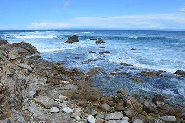 Monterey 1-Day Tour